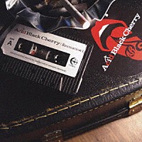 Ａｃｉｄ　Ｂｌａｃｋ　Ｃｈｅｒｒｙ「 Ｒｅｃｒｅａｔｉｏｎ　１」