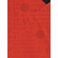 ビレッジマンズストア「 ｒｅ：Ｒｅｃ　ＢＥＳＴ　「遊撃」」