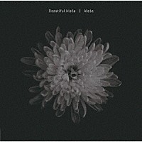 ｋｌｅｓａ「 Ｂｅａｕｔｉｆｕｌ　ｋｌｅｓａ」