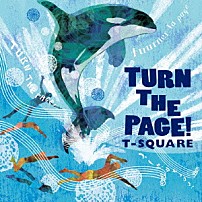 Ｔ－ＳＱＵＡＲＥ Ｔａｋｅｓｈｉ　Ｉｔｏ Ｓａｔｏｓｈｉ　Ｂａｎｄｏｈ Ｓｈｉｎｇｏ　Ｔａｎａｋａ Ｙｕｉｃｈｉ　Ｈａｓｅｇａｗａ Ｓｈｕｙａ　Ｋａｍｅｙａｍａ 「ＴＵＲＮ　ＴＨＥ　ＰＡＧＥ！」