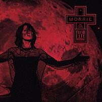 ＭＯＲＲＩＥ 「ＭＯＲＲＩＥ　６０ｔｈ　Ｂｉｒｔｈｄａｙ　Ｃｅｌｅｂｒａｔｉｏｎ　ＦＬＥＳＨ　ＦＡＴＥ　ＦＥＳＴＩＶＡＬ」