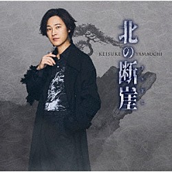 山内惠介「北の断崖」