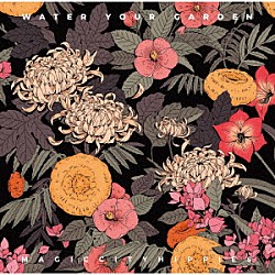 マジック・シティ・ヒッピーズ「ウォーター・ユア・ガーデン」