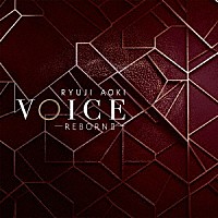 青木隆治「 ＶＯＩＣＥ－ＲＥＢＯＲＮ　Ⅱ－」
