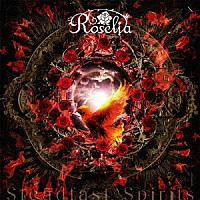 Ｒｏｓｅｌｉａ「 Ｓｔｅａｄｆａｓｔ　Ｓｐｉｒｉｔｓ」