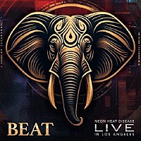 ビート「 ライヴ～　イン・ロサンゼルス　２０２４」