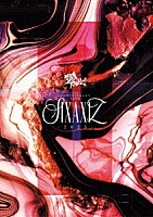 零［Ｈｚ］「 ＺＥＲＯＨＺ　７ｔｈ　ＡＮＮＩＶＥＲＳＡＲＹ　ＬＩＶＥ　ＳＩＸＡＸＩＺ－２０２５－　ａｔ　Ｓｐｏｔｉｆｙ　Ｏ－ＥＡＳＴ　ＬＩＶＥ　ＤＶＤ」