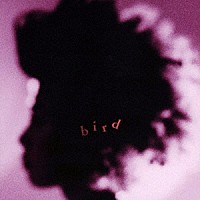 ｂｉｒｄ「 ｂｉｒｄ」