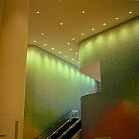 曽我部恵一 「パイナップル・ロック」