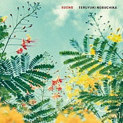 ＴＥＲＵＹＵＫＩ　ＮＯＢＵＣＨＩＫＡ「ＳＵＯＮＯ」
