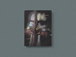 ずっと真夜中でいいのに。「永遠深夜万博「名巧は愚なるが如し」」