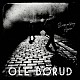 Ｏｌｅ　Ｂｏｒｕｄ「Ｓｌｅｅｐｗａｌｋｉｎｇ　Ａｇａｉｎ」