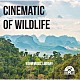 （ＢＧＭ）「ＮＴＶＭ　Ｍｕｓｉｃ　Ｌｉｂｒａｒｙ　ＣＩＮＥＭＡＴＩＣ　ＯＦ　ＷＩＬＤＬＩＦＥ」