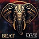 ビート「ライヴ～　イン・ロサンゼルス　２０２４」