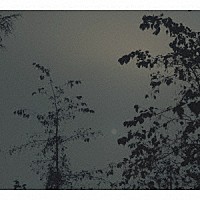 Ｉｔｏｋｏ　Ｔｏｍａ「 Ｂｅｓｉｄｅ　ｔｈｅ　Ｍｏｏｎ」