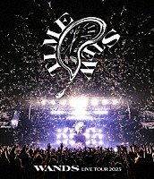 ＷＡＮＤＳ「 ＷＡＮＤＳ　Ｌｉｖｅ　Ｔｏｕｒ　２０２５　～ＴＩＭＥ　ＳＴＥＷ～」