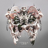 Ｃｒｙｓｔａｌ　Ｌａｋｅ「 ザ・ウェイト・オブ・サウンド」