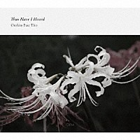 布施音人トリオ「 Ｔｈｕｓ　Ｈａｖｅ　Ｉ　Ｈｅａｒｄ」