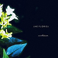 Ｔｈｅ　Ｆｌｏｒｉｓｔ「 （ａ）ｅｓｔｈｅｔｉｃｉｓｍ」