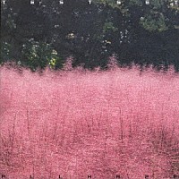 ＴＥＳＴＳＥＴ「 ＡＬＬ　ＨＡＺＥ」