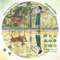 辻本純佳「 響きの森の音楽会　／　ＳＴＵＤＩＯ　ＧＨＩＢＬＩ　Ｍｕｓｉｃ　Ｃｏｌｌｅｃｔｉｏｎ」