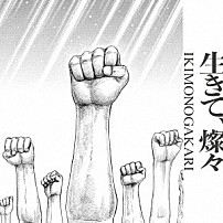 いきものがかり 「生きて、燦々」