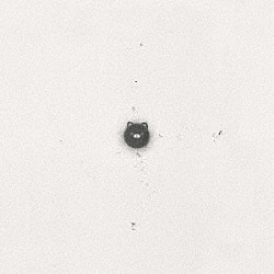 カネコアヤノ「石の糸　ひとりでに」