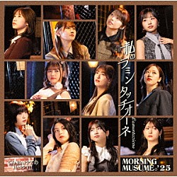 モーニング娘。’２５「てか　ＨＡＰＰＹのＨＡＰＰＹ！／私のラミンタッチオーネ（Ｌａｍｅｎｔａｚｉｏｎｅ）」