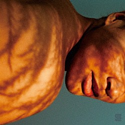 フリーダ・トゥレイ「ホームバディ」