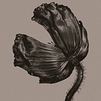 ペット・ショップ・ボーイズ「 リリース」