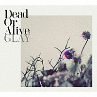 ＧＬＡＹ「 Ｄｅａｄ　Ｏｒ　Ａｌｉｖｅ」