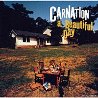 カーネーション「 ビューティフル・デイ」