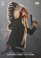 ウルフルズ「 “２０ｔｈ　＆　２５ｔｈ　Ａｎｎｉｖｅｒｓａｒｙ”　ＯＳＡＫＡウルフルカーニバル　ウルフルズがやって来る！　ヤッサ！２０／２５」