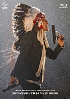 ウルフルズ「 “２０ｔｈ　＆　２５ｔｈ　Ａｎｎｉｖｅｒｓａｒｙ”　ＯＳＡＫＡウルフルカーニバル　ウルフルズがやって来る！　ヤッサ！２０／２５」