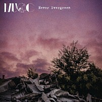 ＭＵＣＣ 「Ｎｅｖｅｒ　Ｅｖｅｒｇｒｅｅｎ」