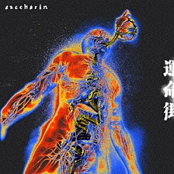 ｓａｃｃｈａｒｉｎ「運命街」