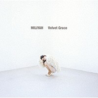 加藤ミリヤ「 Ｖｅｌｖｅｔ　Ｇｒａｃｅ」
