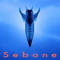 とた「 Ｓｅｂｏｎｅ　－脊椎盤－」