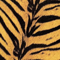 ザ・ハイロウズ「 タイガーモービル」