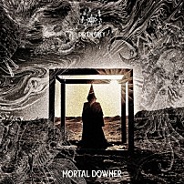 ＤＩＲ　ＥＮ　ＧＲＥＹ 「ＭＯＲＴＡＬ　ＤＯＷＮＥＲ」