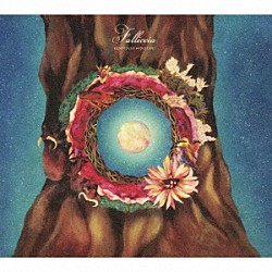 ｋｅｎｍｏｃｈｉ　ｈｉｄｅｆｕｍｉ「Ｆａｌｌｉｃｃｉａ」