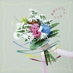 衛星とカラテア「つづき」