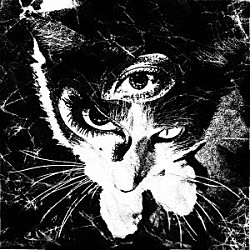 Ｔｏｋｙｏ　Ｓｈｏｅｇａｚｅｒ「Ｒｅｍａｉｎｓ」