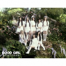 ＮｉｚｉＵ「ＧＯＯＤ　ＧＩＲＬ　ＢＵＴ　ＮＯＴ　ＦＯＲ　ＹＯＵ」