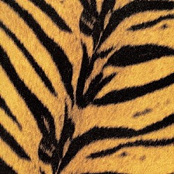 ザ・ハイロウズ「タイガーモービル」