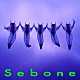 とた「Ｓｅｂｏｎｅ　－脊髄盤－」