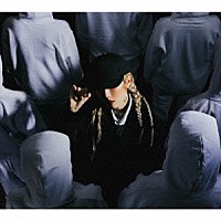 Ａｒｃｈｅ「 ＴＨＥ　ＢＬＡＣＫ　ＳＨＥＥＰ　ＯＦ　ＴＨＥ　ＦＡＭＩＬＹ」