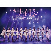 可憐なアイボリー「 ナイト」