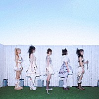 ｄｉｉｇ「 ｐｅｒｓｏｎａ」