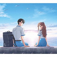 シャイトープ 「リフレイン」